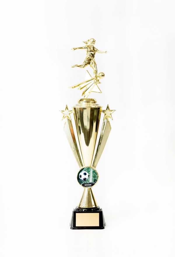 14  Star Logo Cup on Black Base with Figure 1 scaled