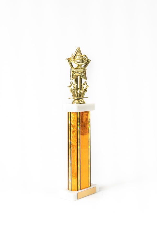 14  Star Themed Figure with Wide Column Trophy 2 scaled