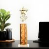 14  Star Themed Figure with Wide Column Trophy 3 scaled