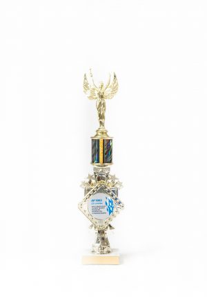 15  Diamond Series Riser Trophy 1 scaled