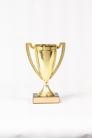 Cup on Marble Trophy 1
