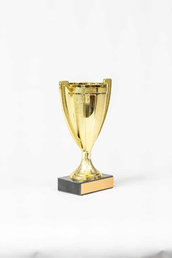 Cup on Marble Trophy 2