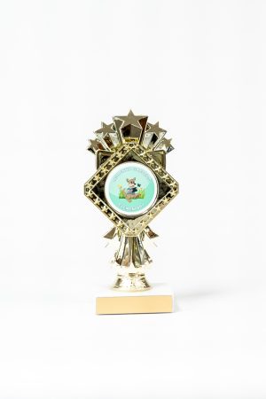 Diamond Series Figure Trophy 1
