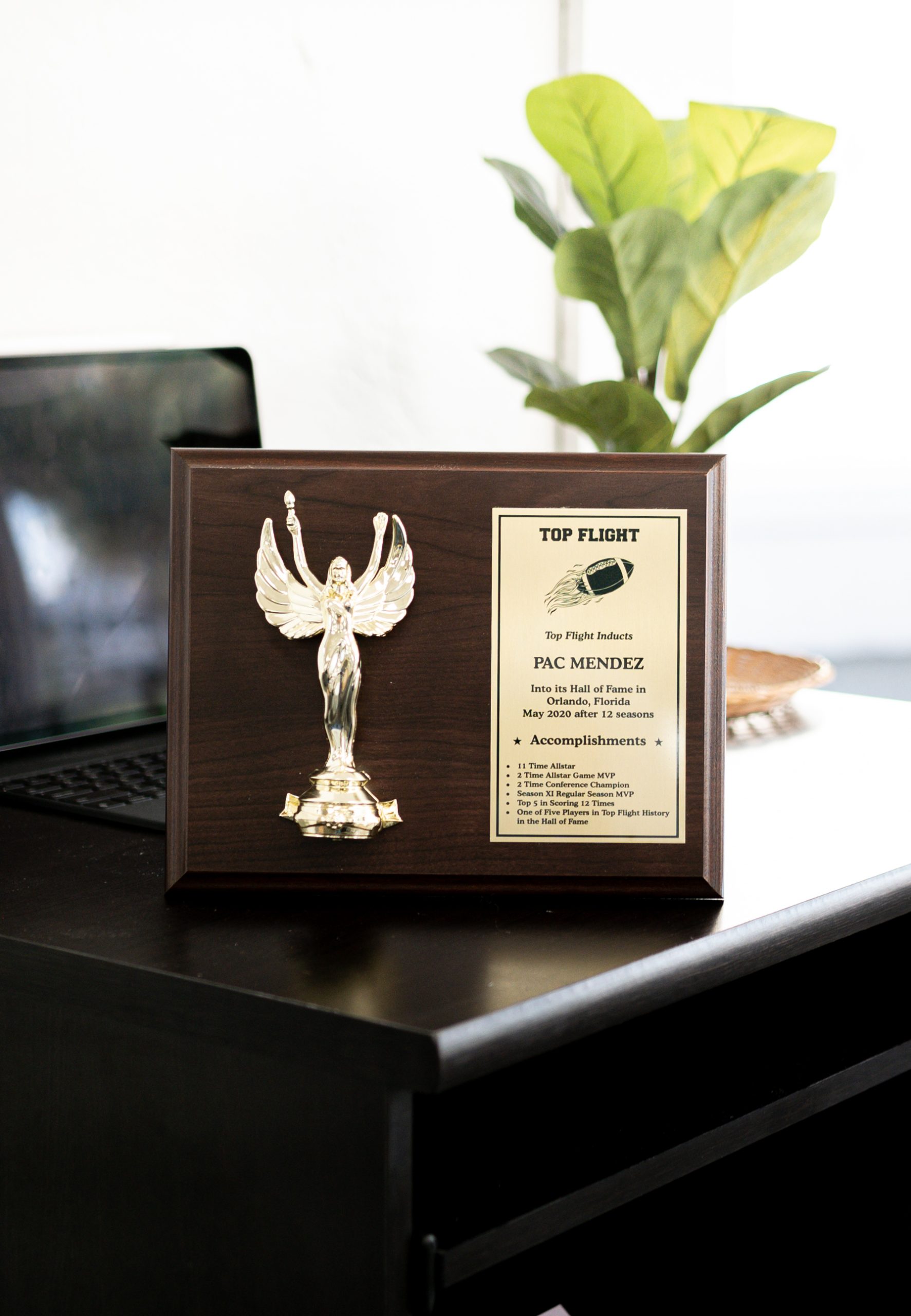 Great Customizable Water Polo Awards Prime Water Polo Plaques Custom Engraved Water Polo Trophy Plaque Award