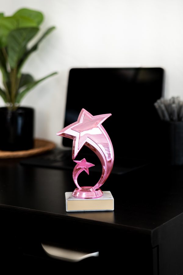 Pretty in Pink Star Figure Trophy 3 scaled