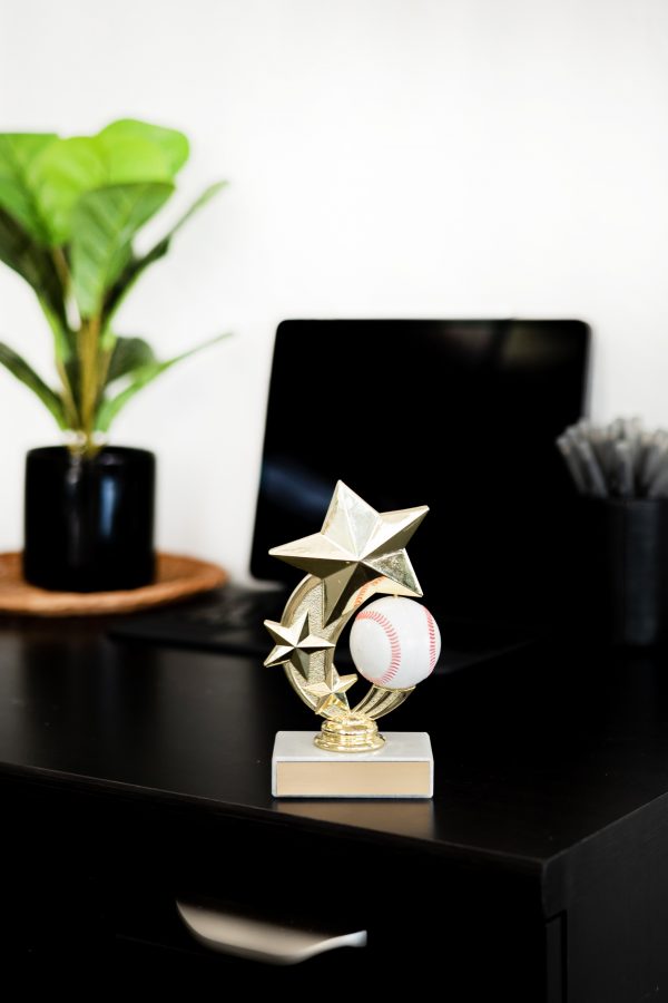 Sports Ball Spinner Figure 3 scaled