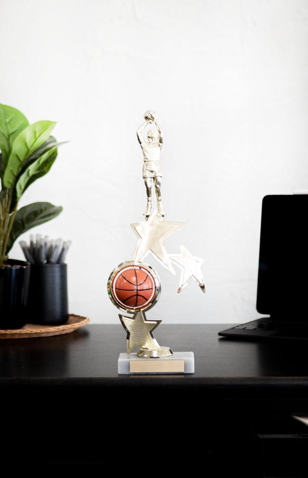 Sports Ball Spinner Riser with Figure Trophy 3