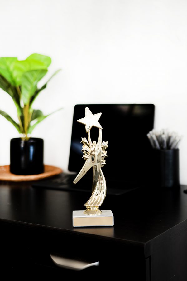 Star Achievement Figure on Marble Base Trophy 3 scaled