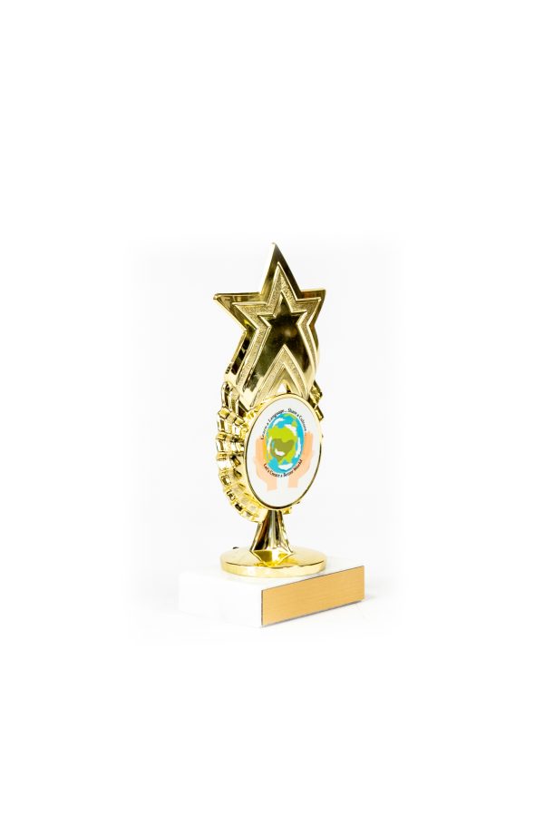 Star Series Logo Figure Trophy 2