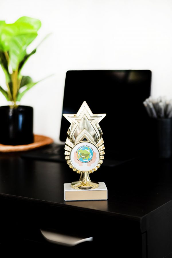 Star Series Logo Figure Trophy 3 scaled