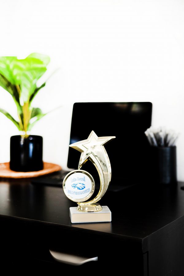 Star Spinning Logo Figure on Marble Base Trophy 3 scaled