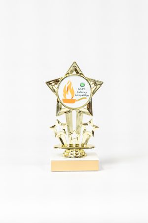 Star Themed Logo Figure on Marble Trophy 1