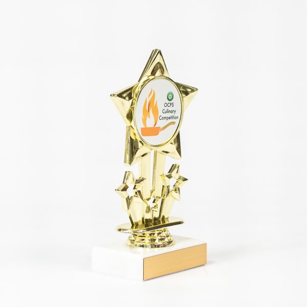 Star Themed Logo Trophy