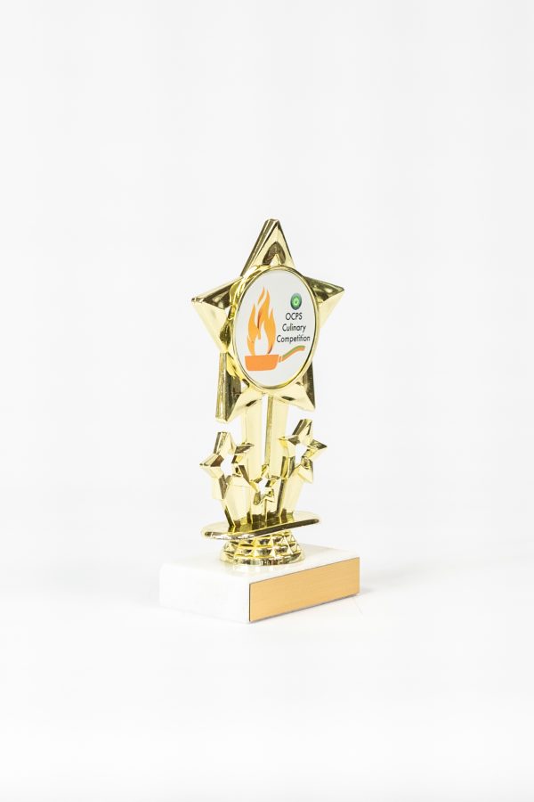Star Themed Logo Figure on Marble Trophy 2