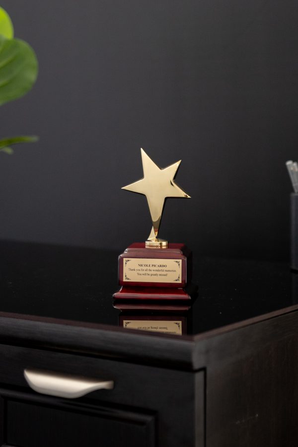 6.5  Trophy Gold Metal Star on Square Rosewood Base 2 scaled