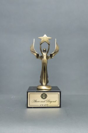 Female Lacrosse trophy faux marble base with engraving award ~ 9" High 