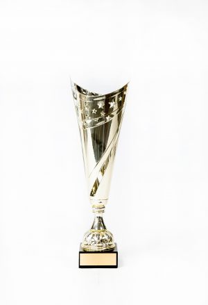 14  Metal Gold Silver Star Cup on Marble Base 1 scaled