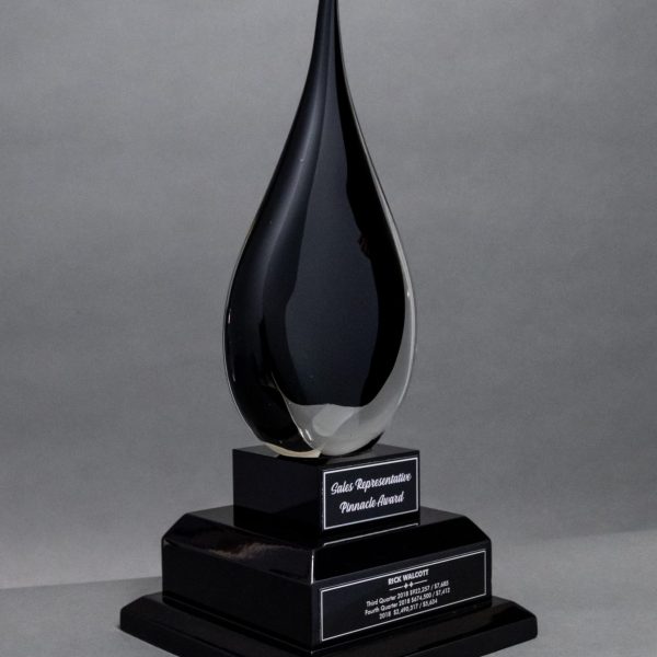 Black Teardrop Award with Paint Fill on Double Base
