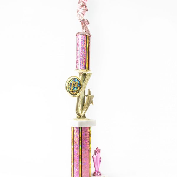 Pretty in Pink Series Round and Wide Column Trophy
