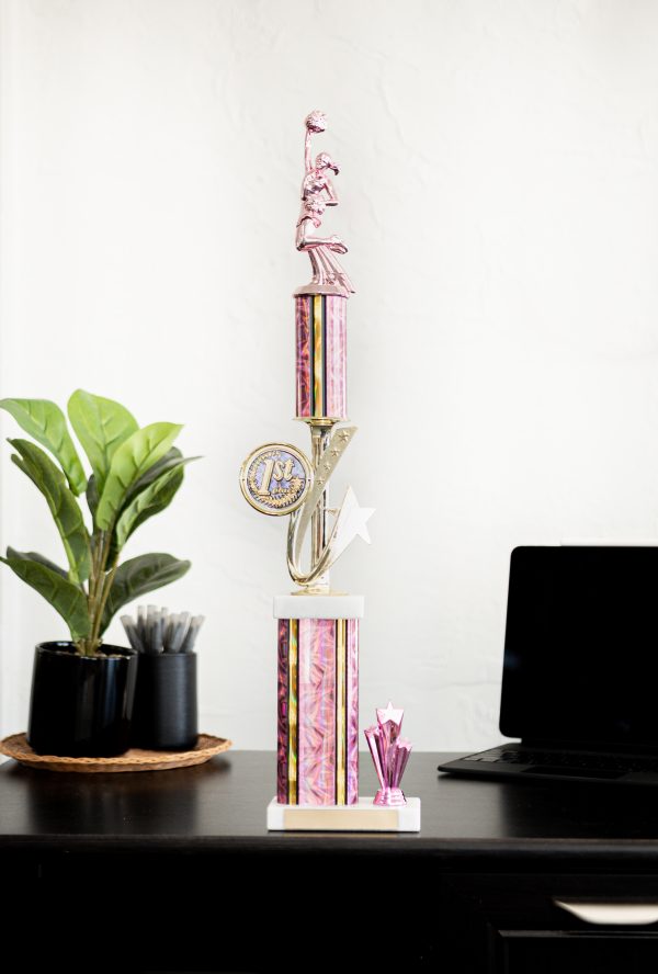 23  Pretty in Pink Series Figure Logo Riser Trim Trophy 3 scaled