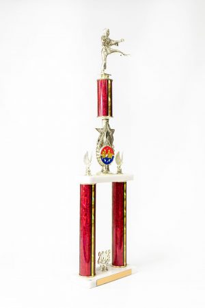 2 Post Star Series Logo Trophy