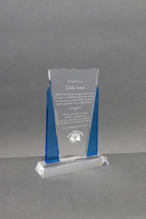 Clear Blue Panel Award 01 scaled