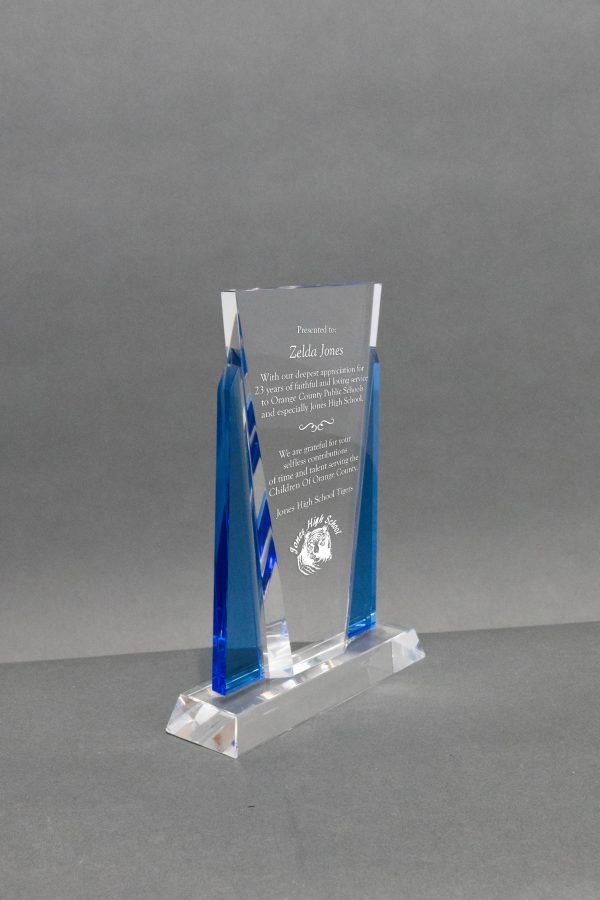 Clear Blue Panel Award 02 scaled