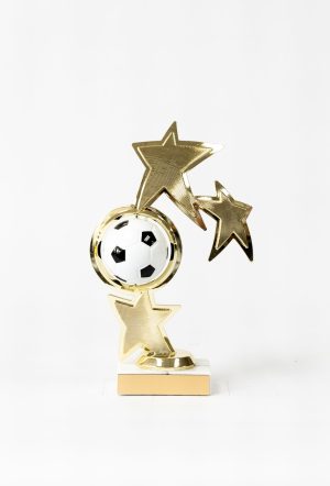 Sports Ball Spinner Figure 1 scaled