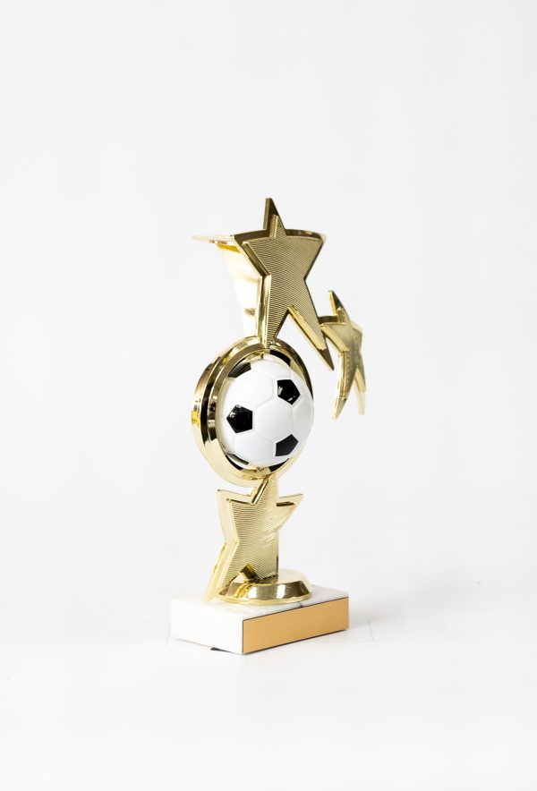 Sports Ball Spinner Figure 2 scaled