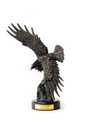 Trophy 24  Eagle 31106 1 scaled