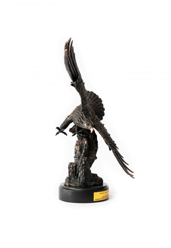 Trophy 24  Eagle 31106 2 scaled