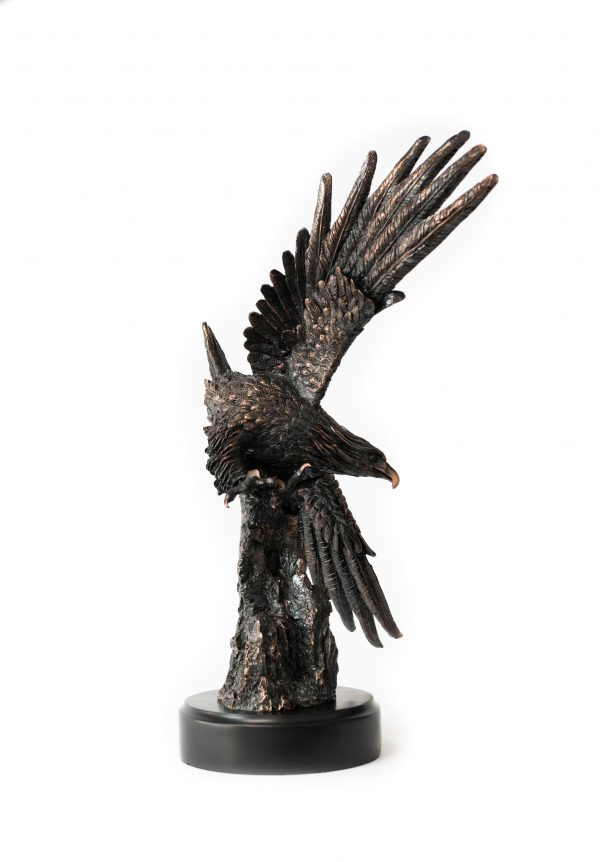 Trophy 24  Eagle 31106 3 scaled